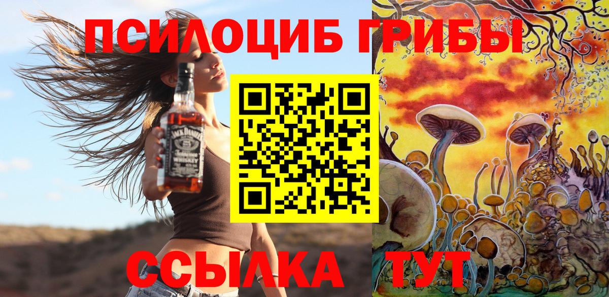 Галлюциногенные грибы Psilocybine cubensis Ессентуки