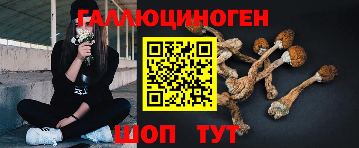 Ессентуки  Галлюциногенные грибы MAGIC MUSHROOMS  Вход с VPN 